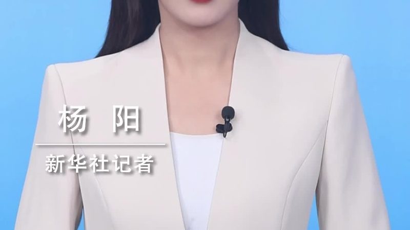 数据可视化交互设计：从原理到实践，打造高效信息呈现